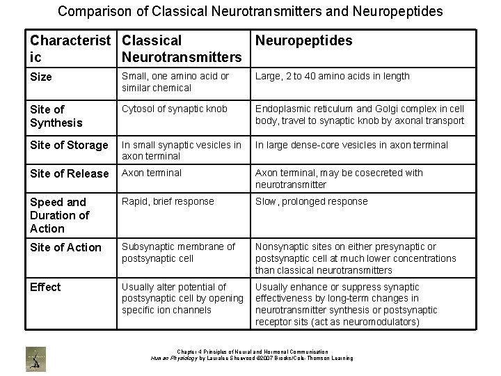 Comparison of Classical Neurotransmitters and Neuropeptides Characterist Classical Neuropeptides ic Neurotransmitters Size Small, one