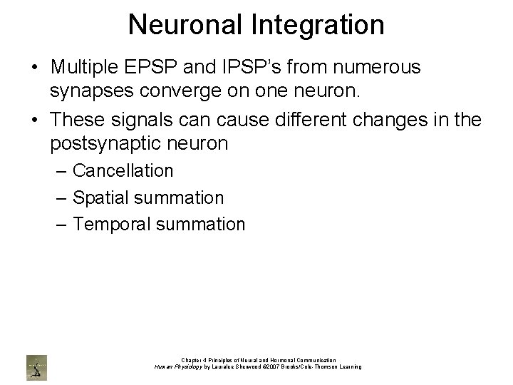 Neuronal Integration • Multiple EPSP and IPSP’s from numerous synapses converge on one neuron.