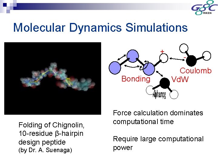 Molecular Dynamics Simulations + Bonding Folding of Chignolin, 10 -residue β-hairpin design peptide (by