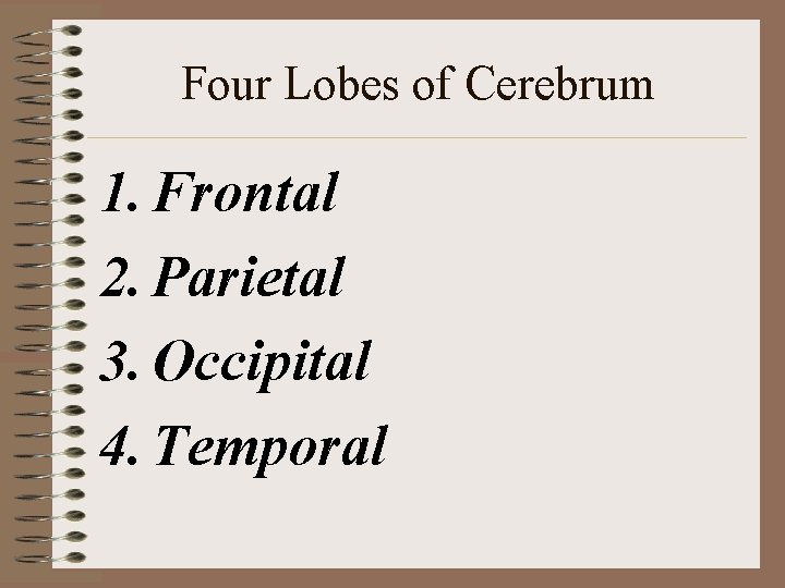 Four Lobes of Cerebrum 1. Frontal 2. Parietal 3. Occipital 4. Temporal Four Lobes of Cerebrum 1. Frontal 2. Parietal 3. Occipital 4. Temporal