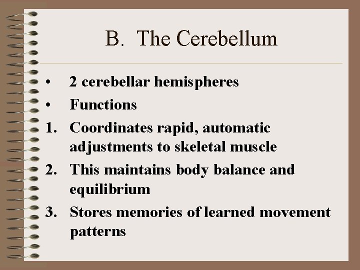 B. The Cerebellum • 2 cerebellar hemispheres • Functions 1. Coordinates rapid, automatic adjustments B. The Cerebellum • 2 cerebellar hemispheres • Functions 1. Coordinates rapid, automatic adjustments