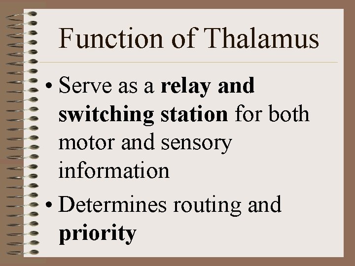 Function of Thalamus • Serve as a relay and switching station for both motor Function of Thalamus • Serve as a relay and switching station for both motor