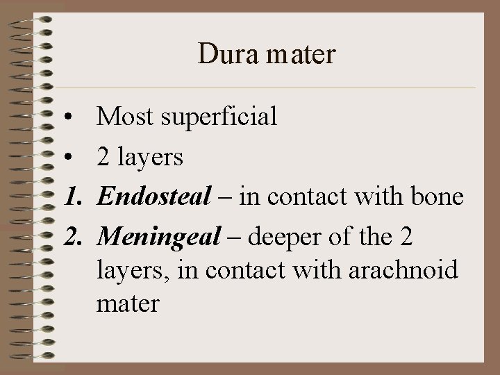 Dura mater • • 1. 2. Most superficial 2 layers Endosteal – in contact Dura mater • • 1. 2. Most superficial 2 layers Endosteal – in contact
