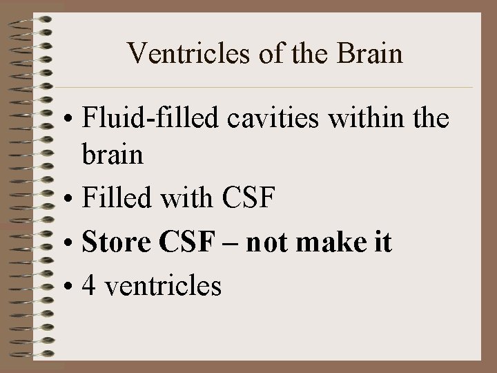 Ventricles of the Brain • Fluid-filled cavities within the brain • Filled with CSF Ventricles of the Brain • Fluid-filled cavities within the brain • Filled with CSF