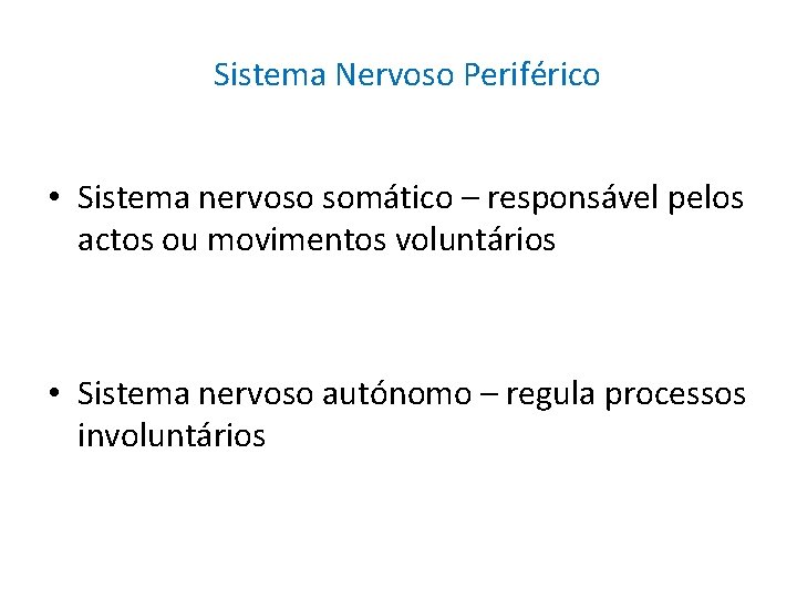 Sistema Nervoso Periférico • Sistema nervoso somático – responsável pelos actos ou movimentos voluntários