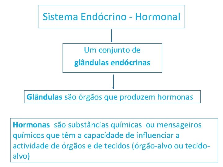 Sistema Endócrino - Hormonal Um conjunto de glândulas endócrinas Glândulas são órgãos que produzem