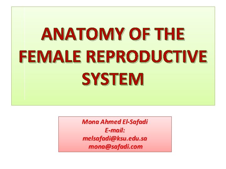 ANATOMY OF THE FEMALE REPRODUCTIVE SYSTEM Mona Ahmed El-Safadi E-mail: melsafadi@ksu. edu. sa mona@safadi.