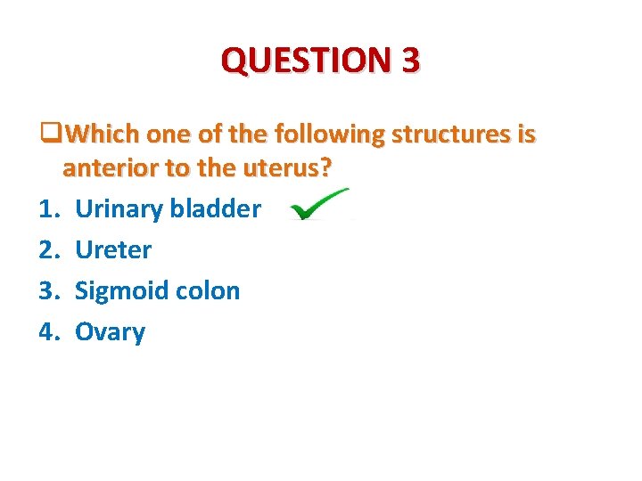 QUESTION 3 q. Which one of the following structures is anterior to the uterus?