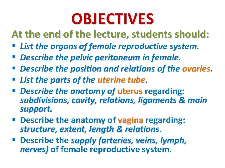 OBJECTIVES At the end of the lecture, students should: List the organs of female