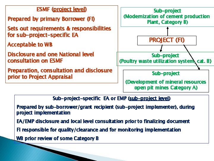 ESMF (project level) Prepared by primary Borrower (FI) Sets out requirements & responsibilities for