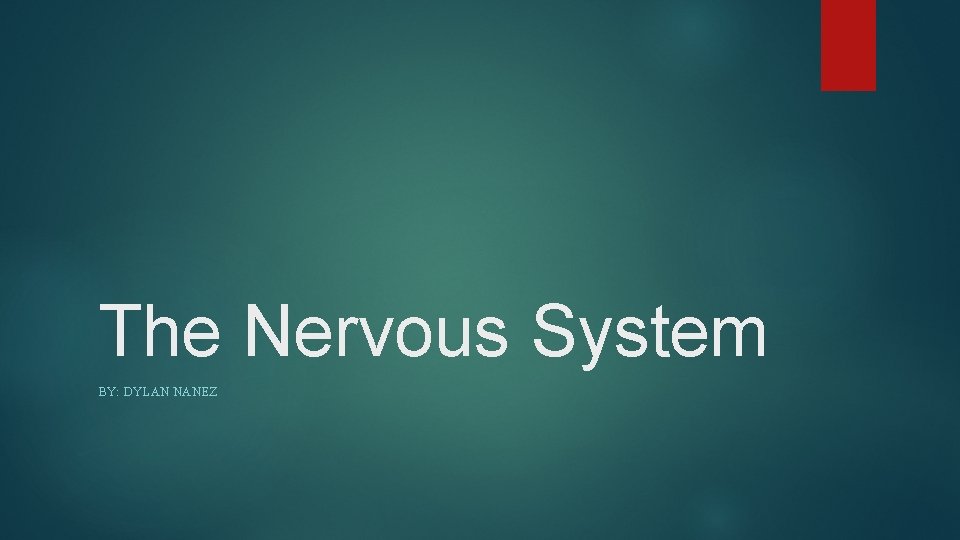 The Nervous System BY: DYLAN NANEZ 