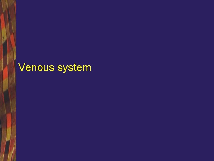 Venous system 