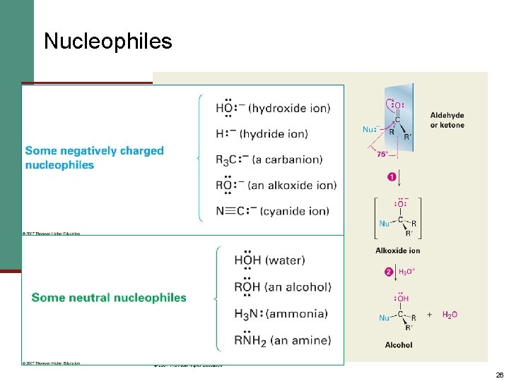 Nucleophiles 26 