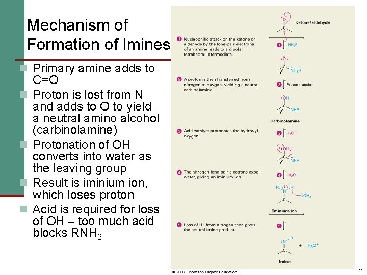 Mechanism of Formation of Imines n Primary amine adds to n n C=O Proton
