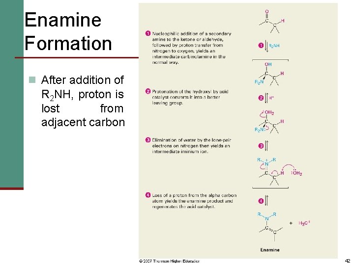 Enamine Formation n After addition of R 2 NH, proton is lost from adjacent