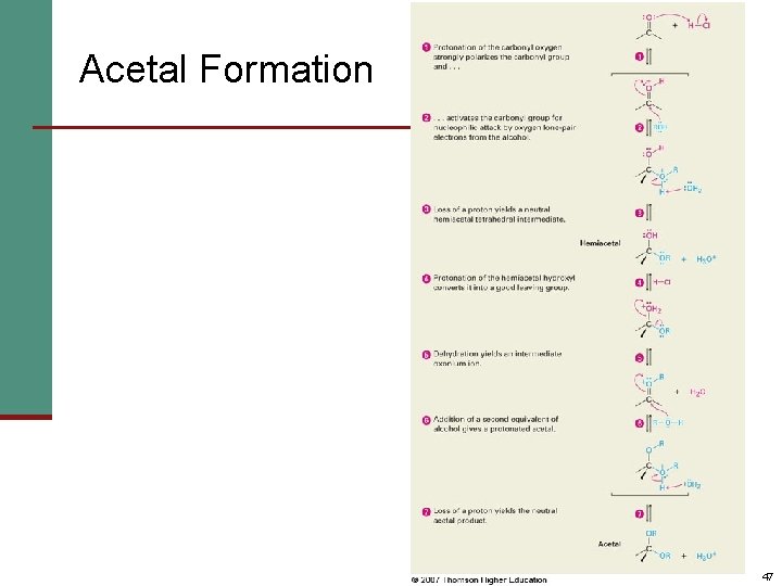 Acetal Formation 47 