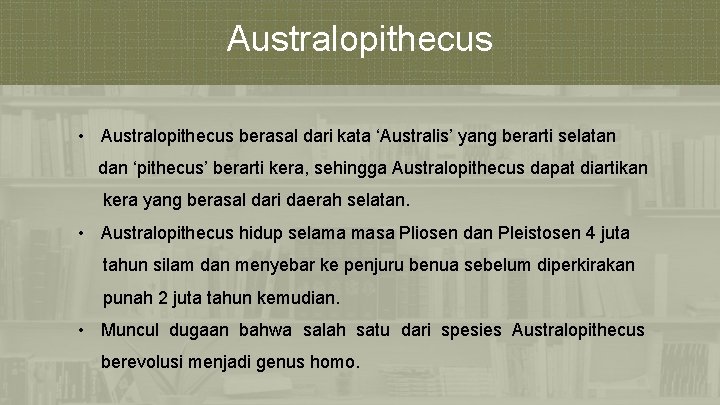 Australopithecus • Australopithecus berasal dari kata ‘Australis’ yang berarti selatan dan ‘pithecus’ berarti kera,