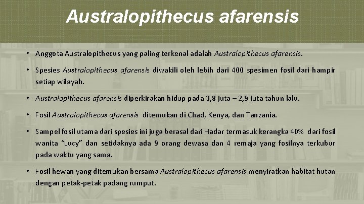 Australopithecus afarensis • Anggota Australopithecus yang paling terkenal adalah Australopithecus afarensis. • Spesies Australopithecus