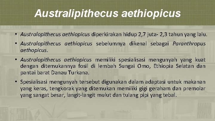 Australipithecus aethiopicus • Australopithecus aethiopicus diperkirakan hidup 2, 7 juta- 2, 3 tahun yang