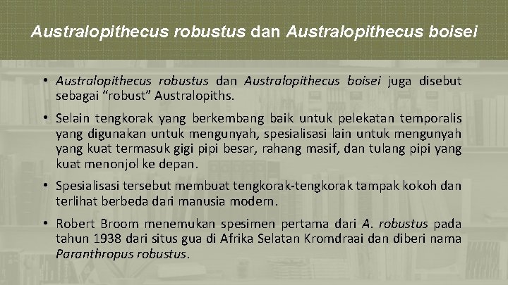 Australopithecus robustus dan Australopithecus boisei • Australopithecus robustus dan Australopithecus boisei juga disebut sebagai