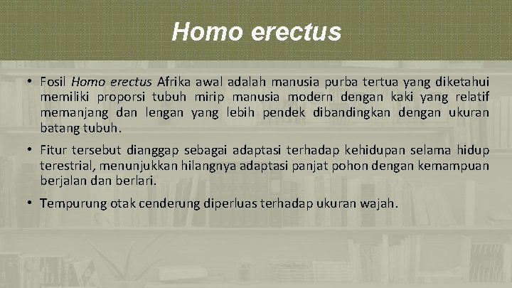 Homo erectus • Fosil Homo erectus Afrika awal adalah manusia purba tertua yang diketahui