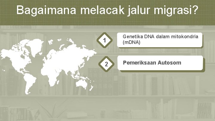 Bagaimana melacak jalur migrasi? 1 2 Genetika DNA dalam mitokondria (m. DNA) Pemeriksaan Autosom