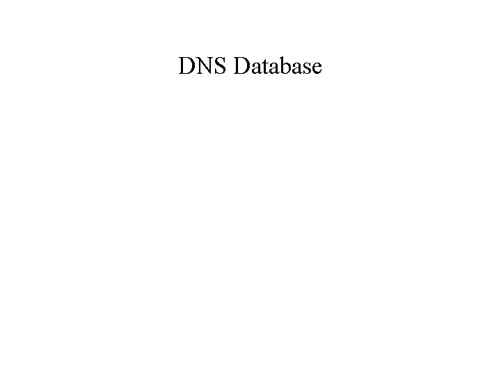 DNS Database 