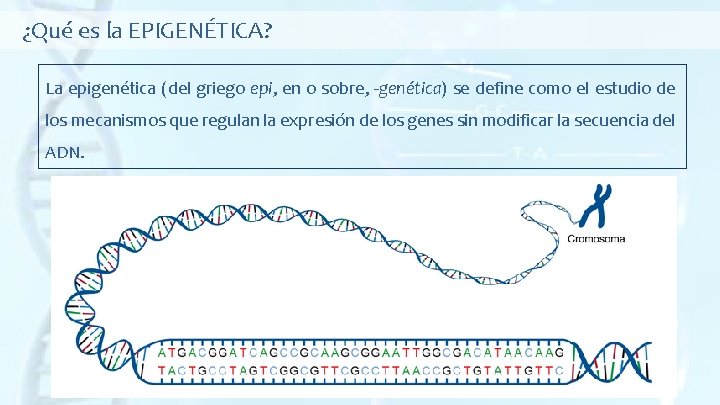 ¿Qué es la EPIGENÉTICA? La epigenética (del griego epi, en o sobre, -genética) se