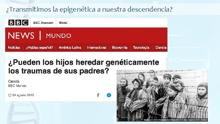 ¿Transmitimos la epigenética a nuestra descendencia? 