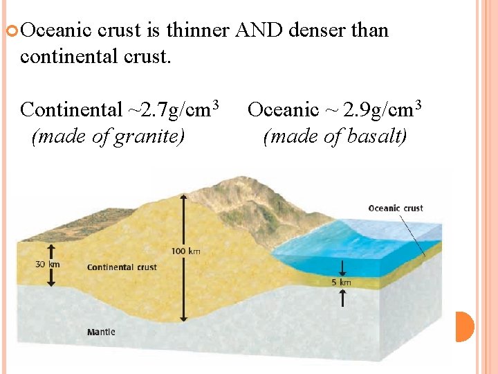  Oceanic crust is thinner AND denser than continental crust. Continental ~2. 7 g/cm