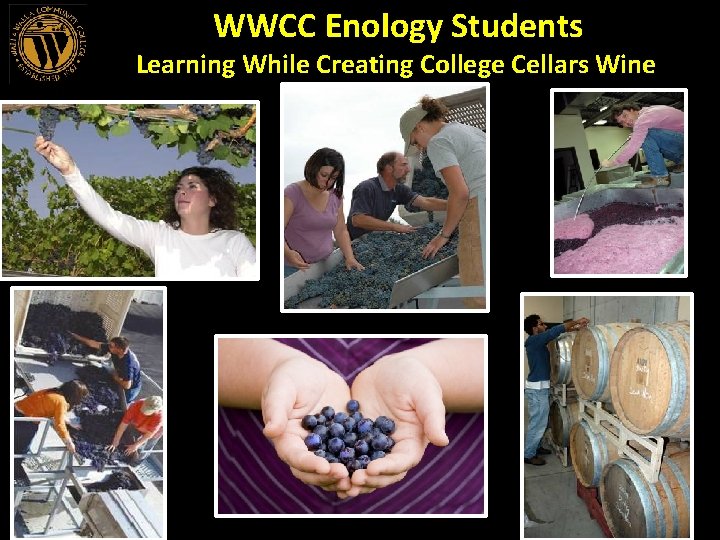 WWCC Enology Students Learning While Creating College Cellars Wine 