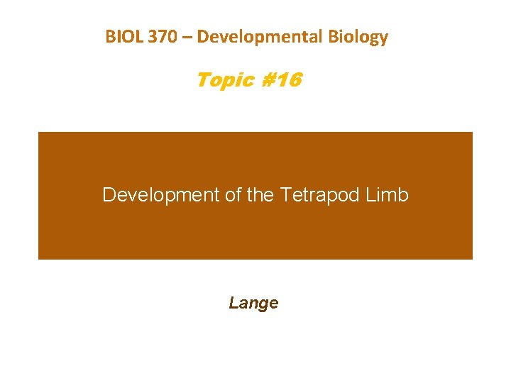 BIOL 370 – Developmental Biology Topic #16 Development of the Tetrapod Limb Lange 