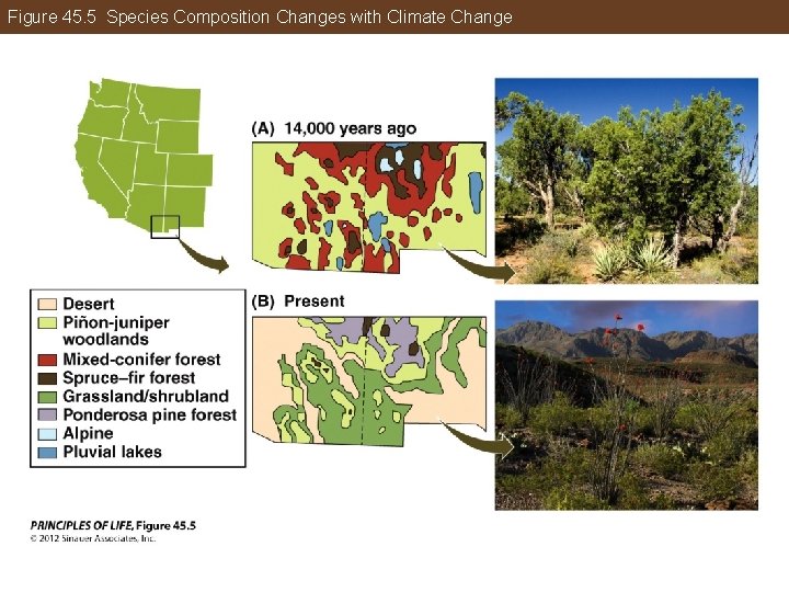 Figure 45. 5 Species Composition Changes with Climate Change 