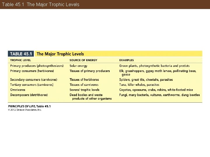 Table 45. 1 The Major Trophic Levels 