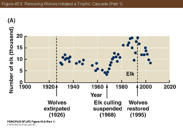 Figure 45. 8 Removing Wolves Initiated a Trophic Cascade (Part 1) 