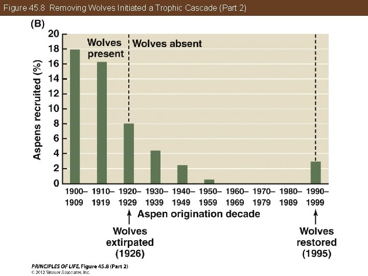 Figure 45. 8 Removing Wolves Initiated a Trophic Cascade (Part 2) 