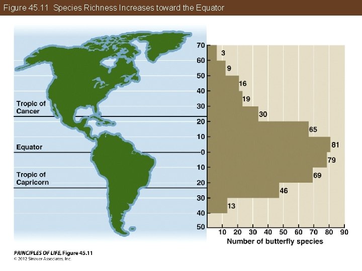 Figure 45. 11 Species Richness Increases toward the Equator 
