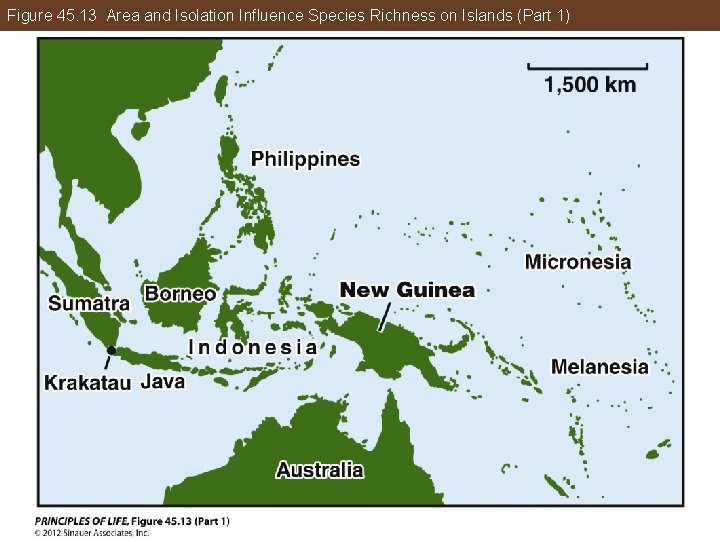 Figure 45. 13 Area and Isolation Influence Species Richness on Islands (Part 1) 