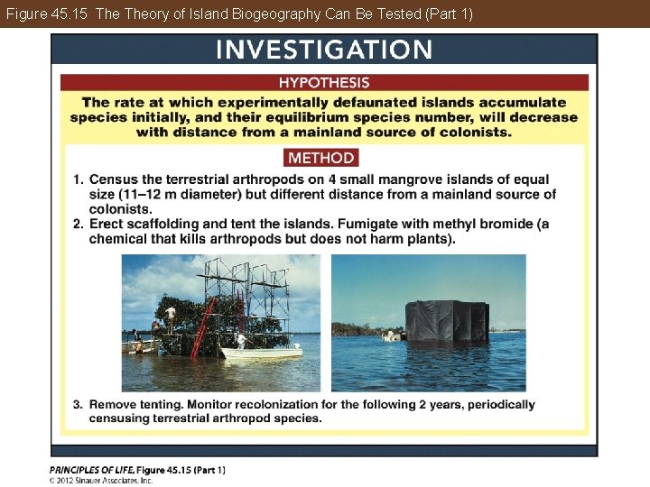 Figure 45. 15 Theory of Island Biogeography Can Be Tested (Part 1) 