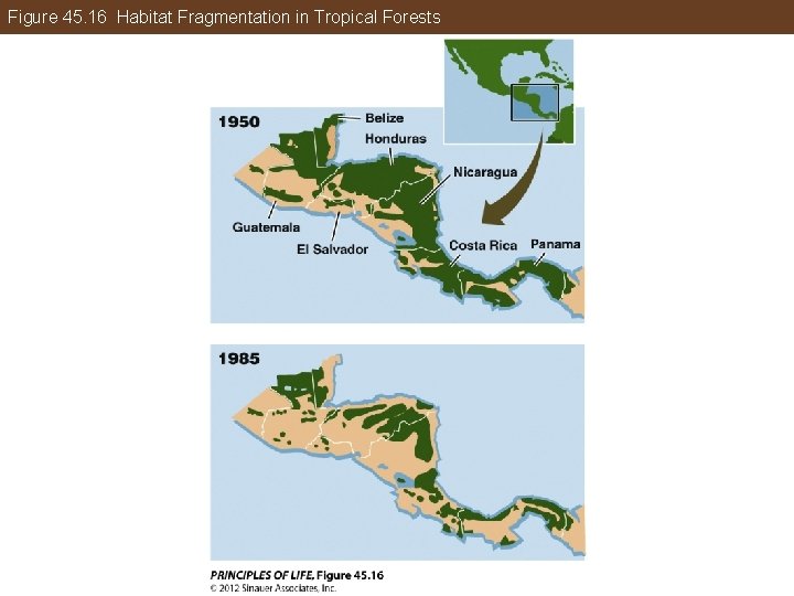 Figure 45. 16 Habitat Fragmentation in Tropical Forests 