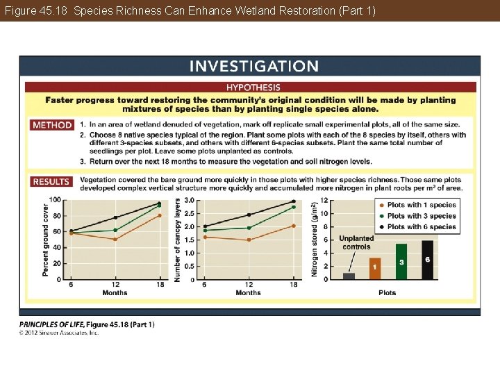 Figure 45. 18 Species Richness Can Enhance Wetland Restoration (Part 1) 