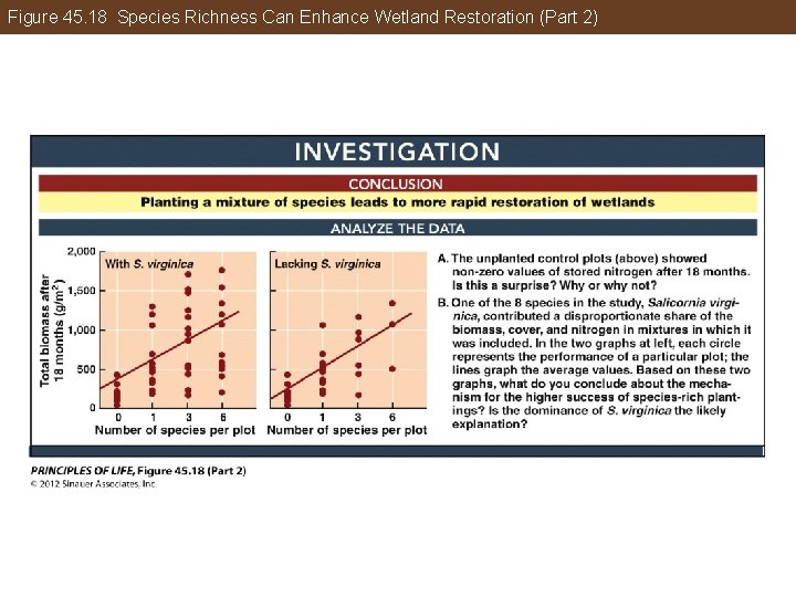 Figure 45. 18 Species Richness Can Enhance Wetland Restoration (Part 2) 