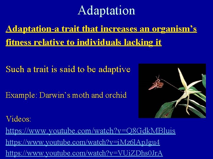 Adaptation-a trait that increases an organism’s fitness relative to individuals lacking it Such a