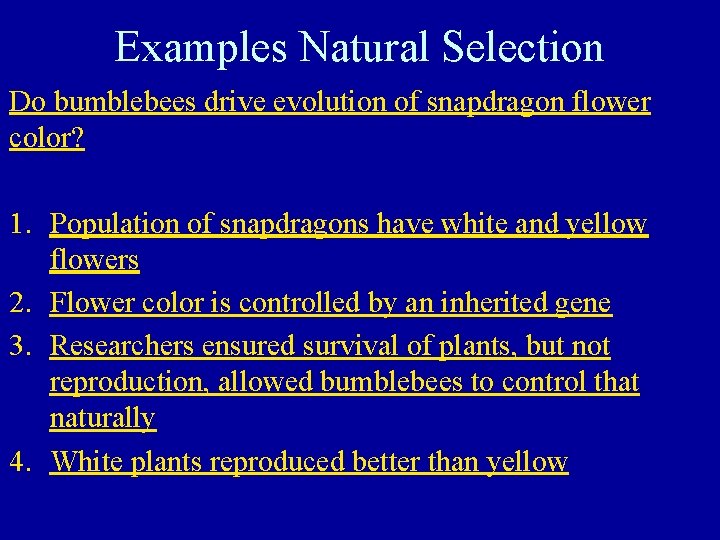 Examples Natural Selection Do bumblebees drive evolution of snapdragon flower color? 1. Population of