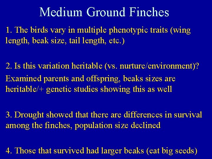 Medium Ground Finches 1. The birds vary in multiple phenotypic traits (wing length, beak