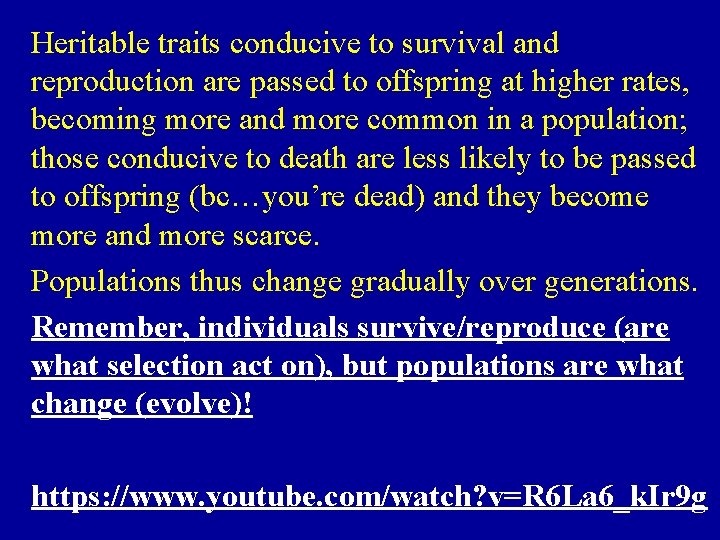 Heritable traits conducive to survival and reproduction are passed to offspring at higher rates,