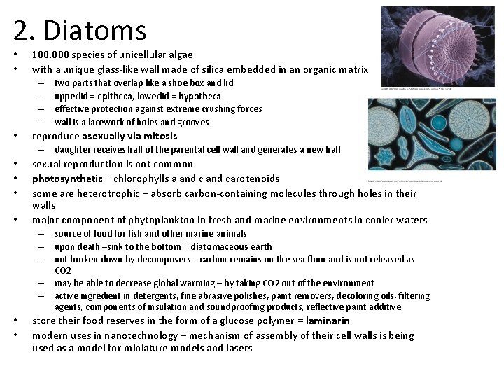 2. Diatoms • • 100, 000 species of unicellular algae with a unique glass-like
