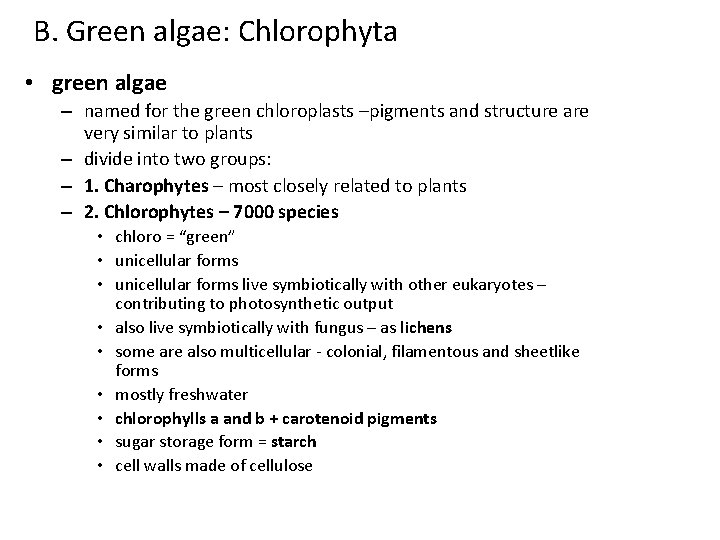 B. Green algae: Chlorophyta • green algae – named for the green chloroplasts –pigments