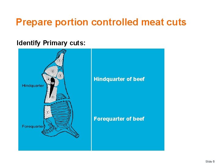Prepare portion controlled meat cuts Identify Primary cuts: Hindquarter of beef Forequarter of beef