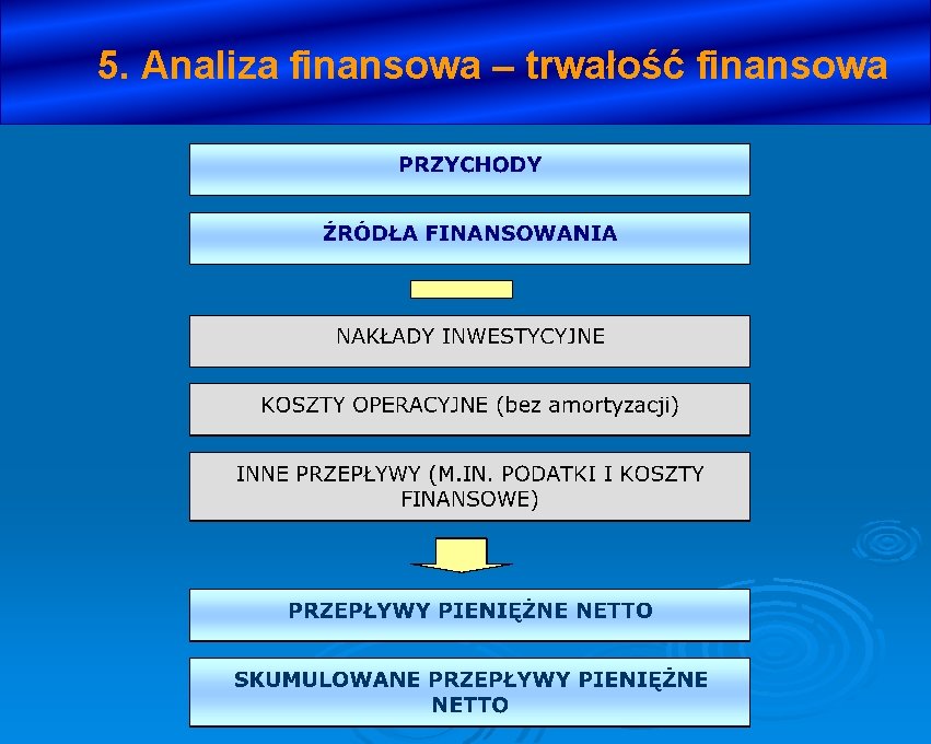 5. Analiza finansowa – trwałość finansowa 